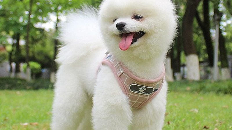 北京低温螺杆冷水机：注意事项与选型要点